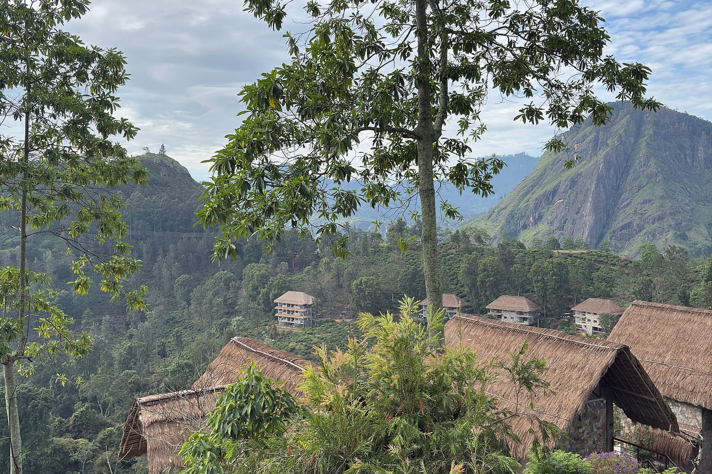 Kandy Signature Hotel 2