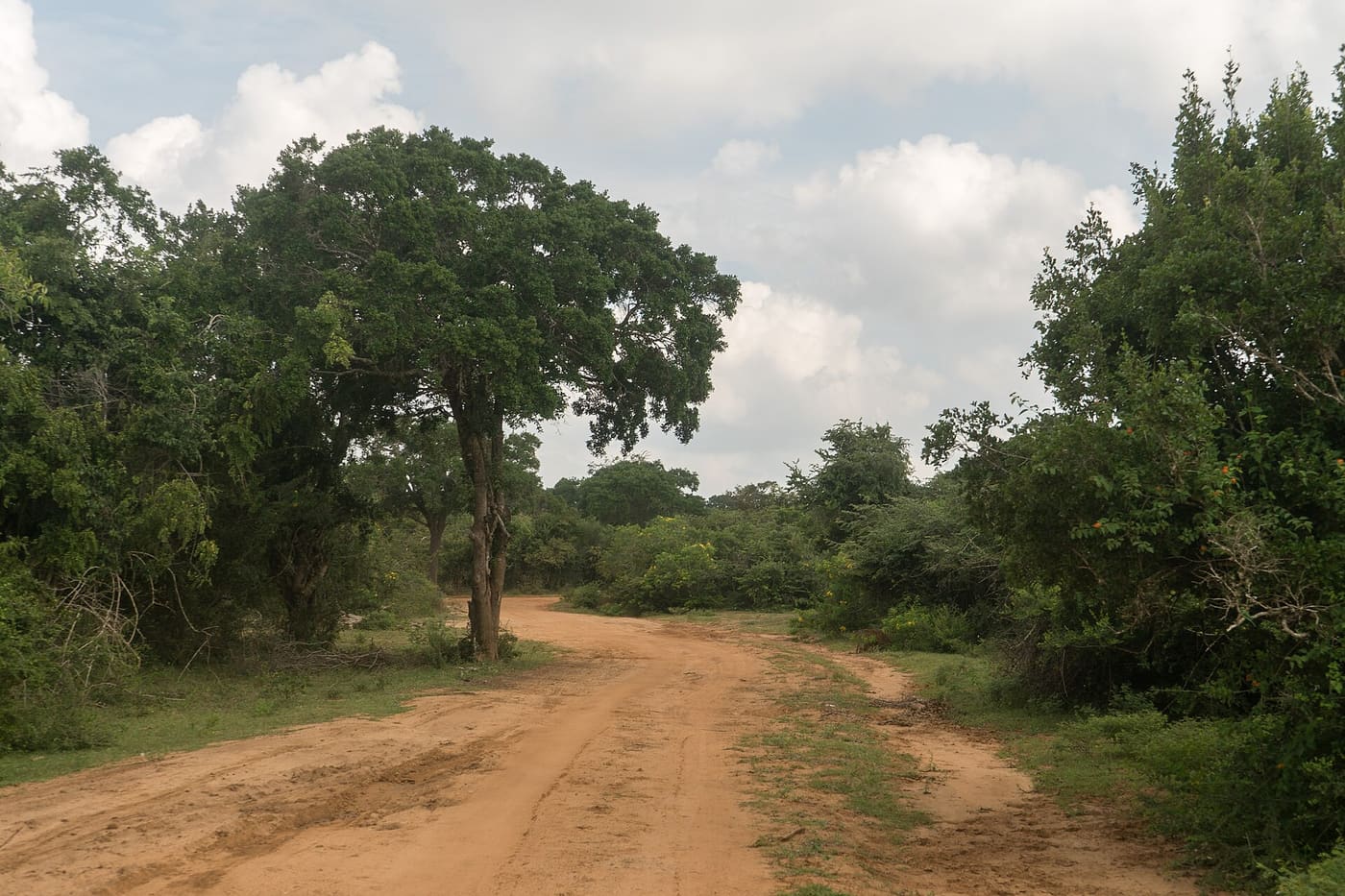 Anuradhapura Discovery Tour 7